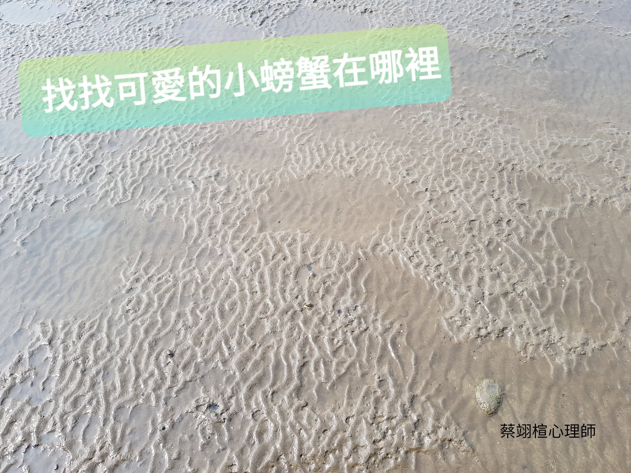 情緒化與防禦－巨蟹座