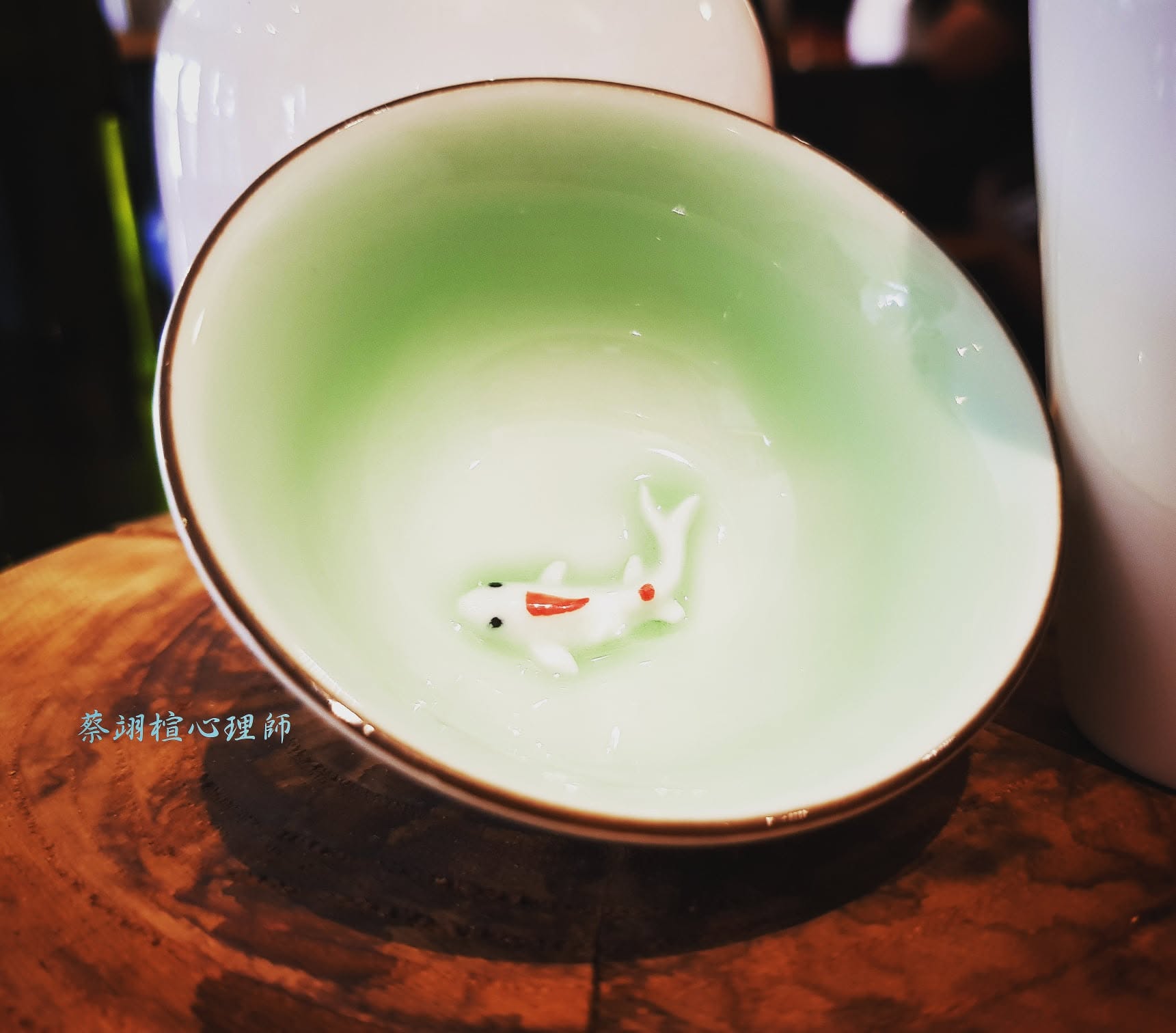 逃跑的月亮雙魚